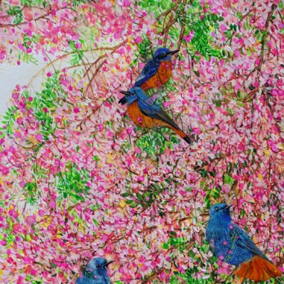 Birds Paintings