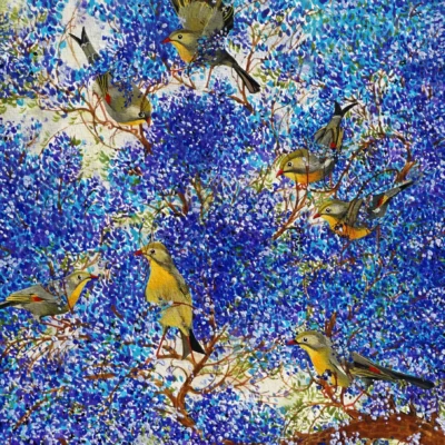 Birds Paintings