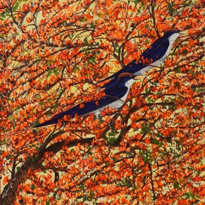 Birds Paintings