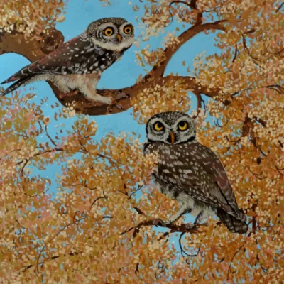 Owl Paintings