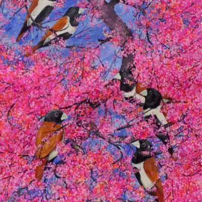 Pink Blossoms