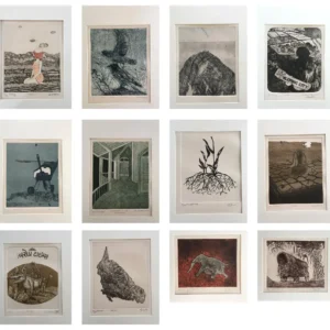 Art and Ecology