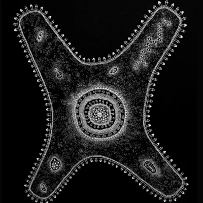 Maripelly Parveen Goud design+science1_11zon (1)