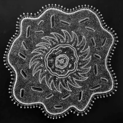 Maripelly Parveen Goud design+science7_11zon (1)
