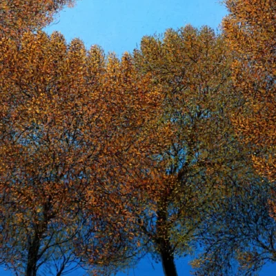 new beginnings_6_11zon