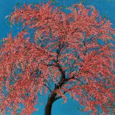 pink shower_8_11zon