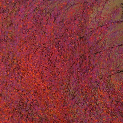 pink showers1_9_11zon