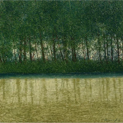 wet fields1
